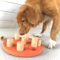 Preview: Dog Smart Composite - Intelligenzspielzeug