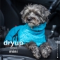 Preview: DryUp Cape Hundebademantel Mini Cyan