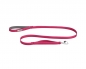 Mobile Preview: Ruffwear Front Range™ Leash Hibiscus Pink