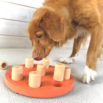 Dog Smart Composite - Intelligenzspielzeug