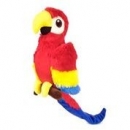 Paula the Parrot