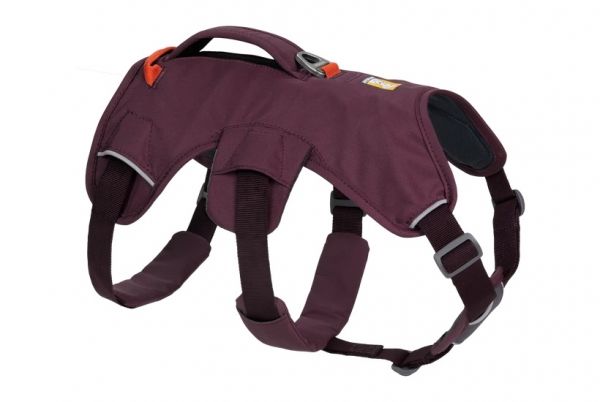 Web Master Harness Purple Rain - XS