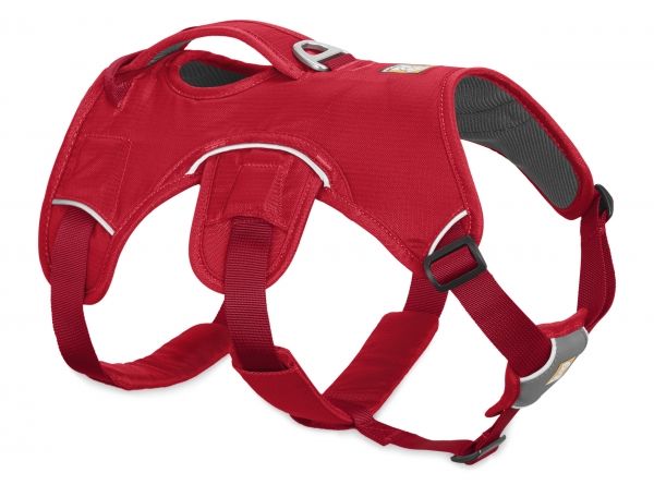 Web Master Harness Red Currant