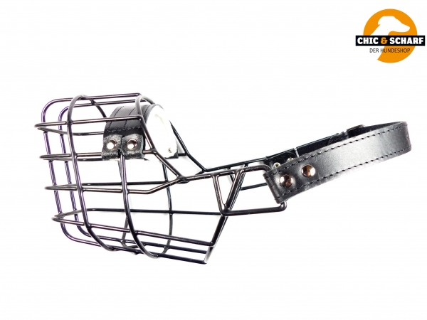 SF Drahtmaulkorb schwarz Am. Staffordshire Terrier Rüde