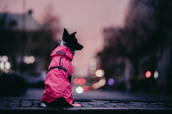 Visibility Regenmantel Lite Hot Pink - 25
