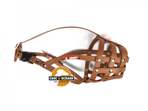 Colori Pitbull Terrier 3 Hellbraun