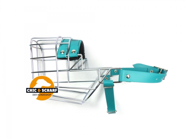 CHOPO Labrador/Dalmatiner Rüde Biothane grün