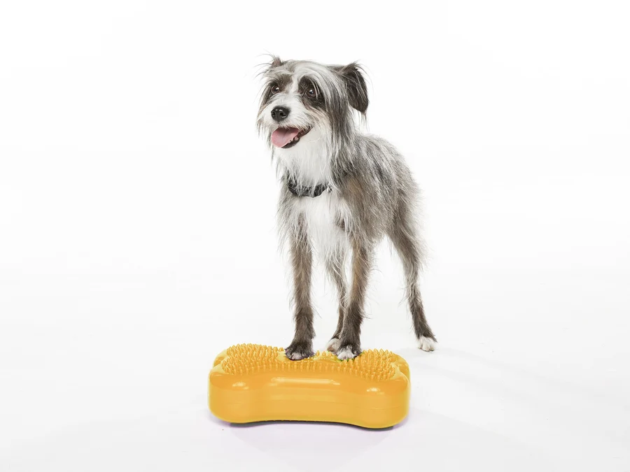 FitPAWS® MINI K9FITbone™ 2-er Set Mango/Gelb