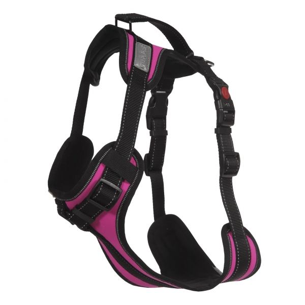 Solid Geschirr Pink - XS