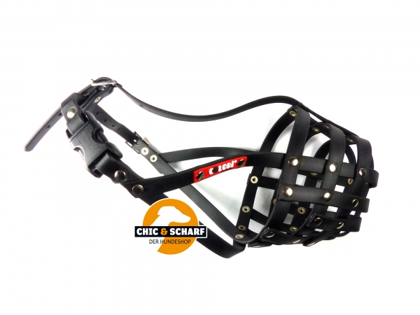 Colori Pitbull Terrier 3 Schwarz