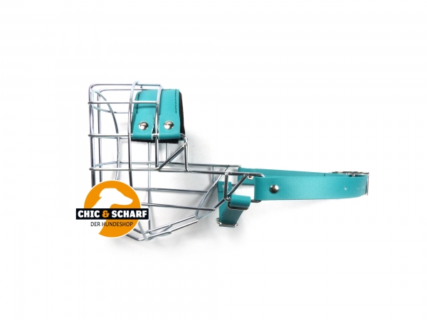 CHOPO Mittelschnauzer Rüde grün