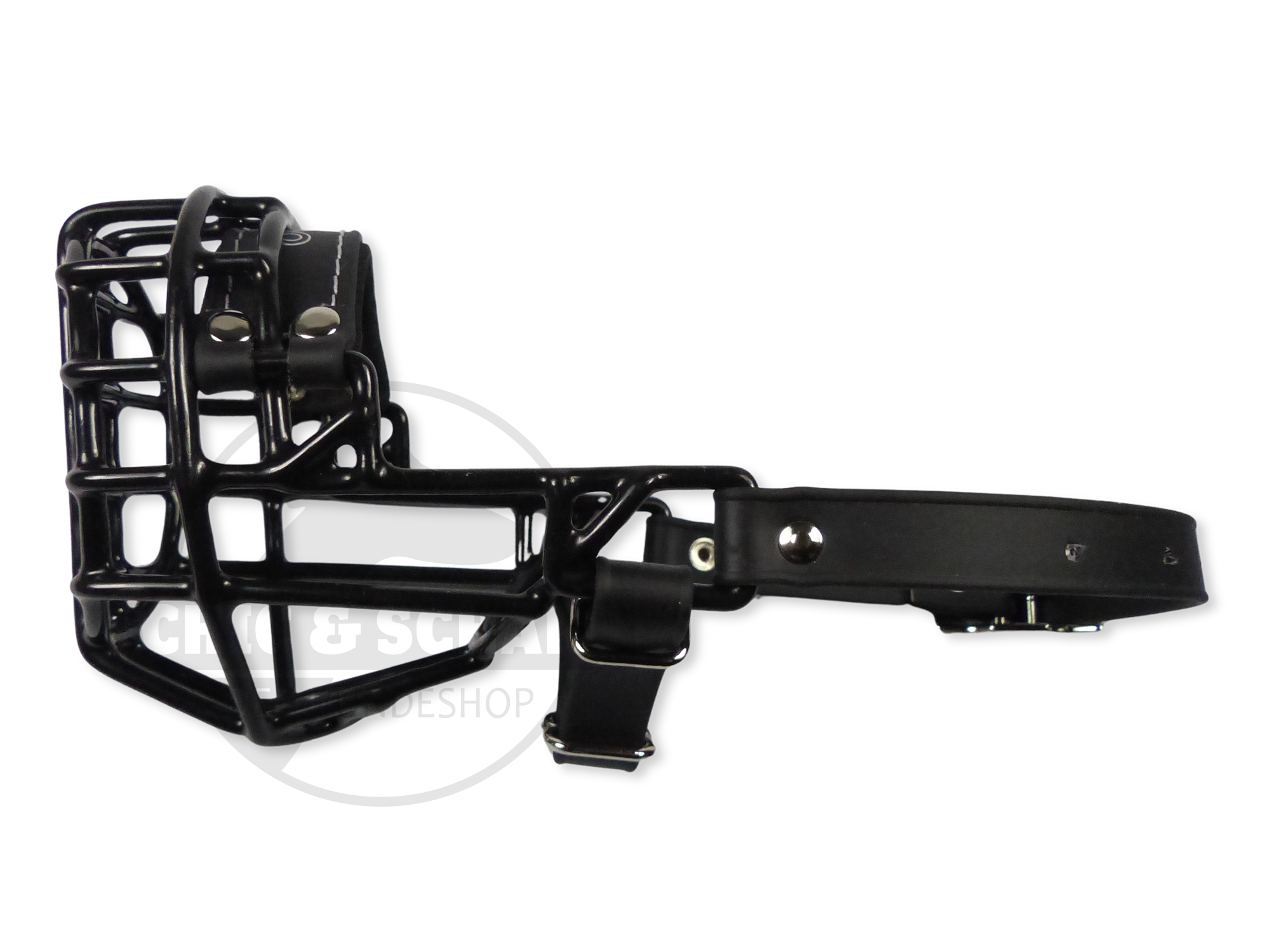 CHOPO schwarz American Cocker Hündin Biothane schwarz