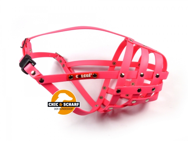Colori Pitbull Terrier 1 Pink