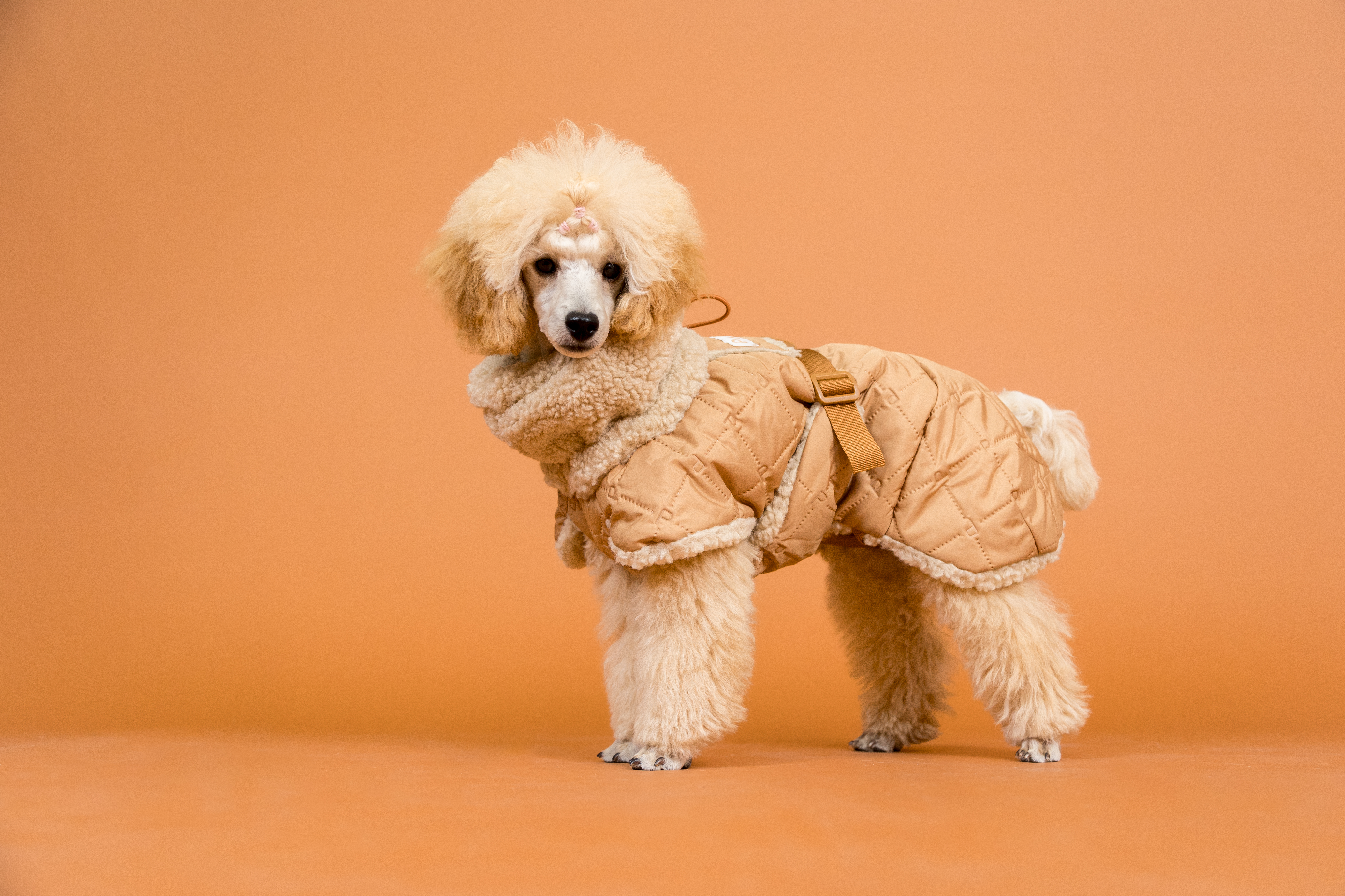 Sherpa Hunde Steppjacke Camel