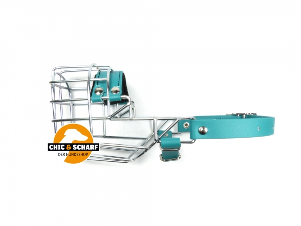 CHOPO Pudel Hündin grün