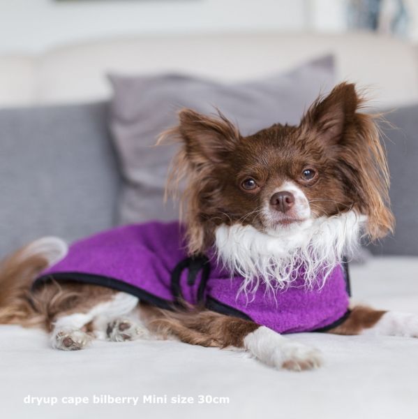 DryUp Cape Hundebademantel Mini Bilberry - 30cm