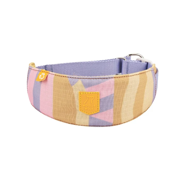 Sunshower Soft Martingale