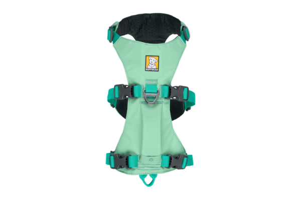 Flagline Harness Sage Geen