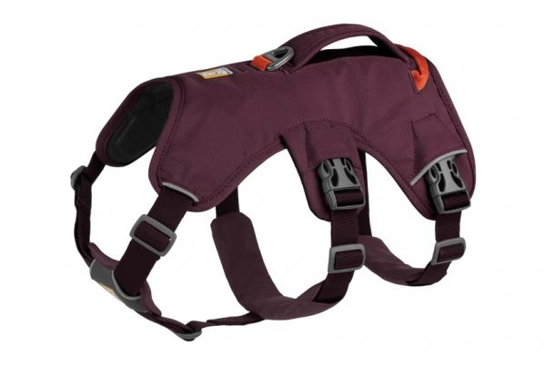 Web Master Harness Purple Rain - XS