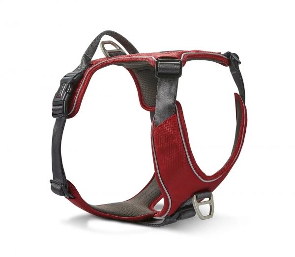 Geschirr Active Pro Comfort  Rot/Anthrazit - 4