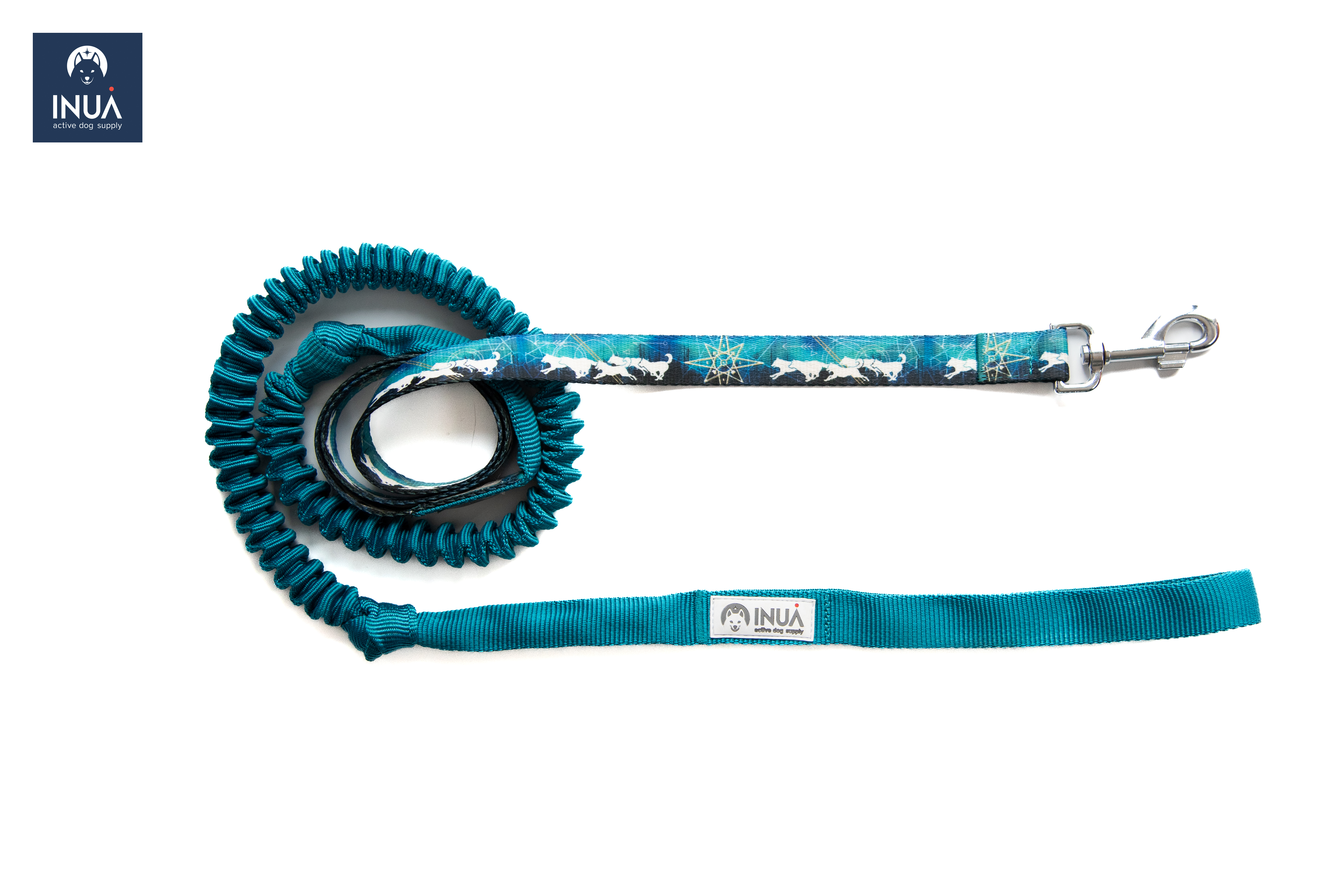 Bungee Leash 220 cm Northern Lights Teal