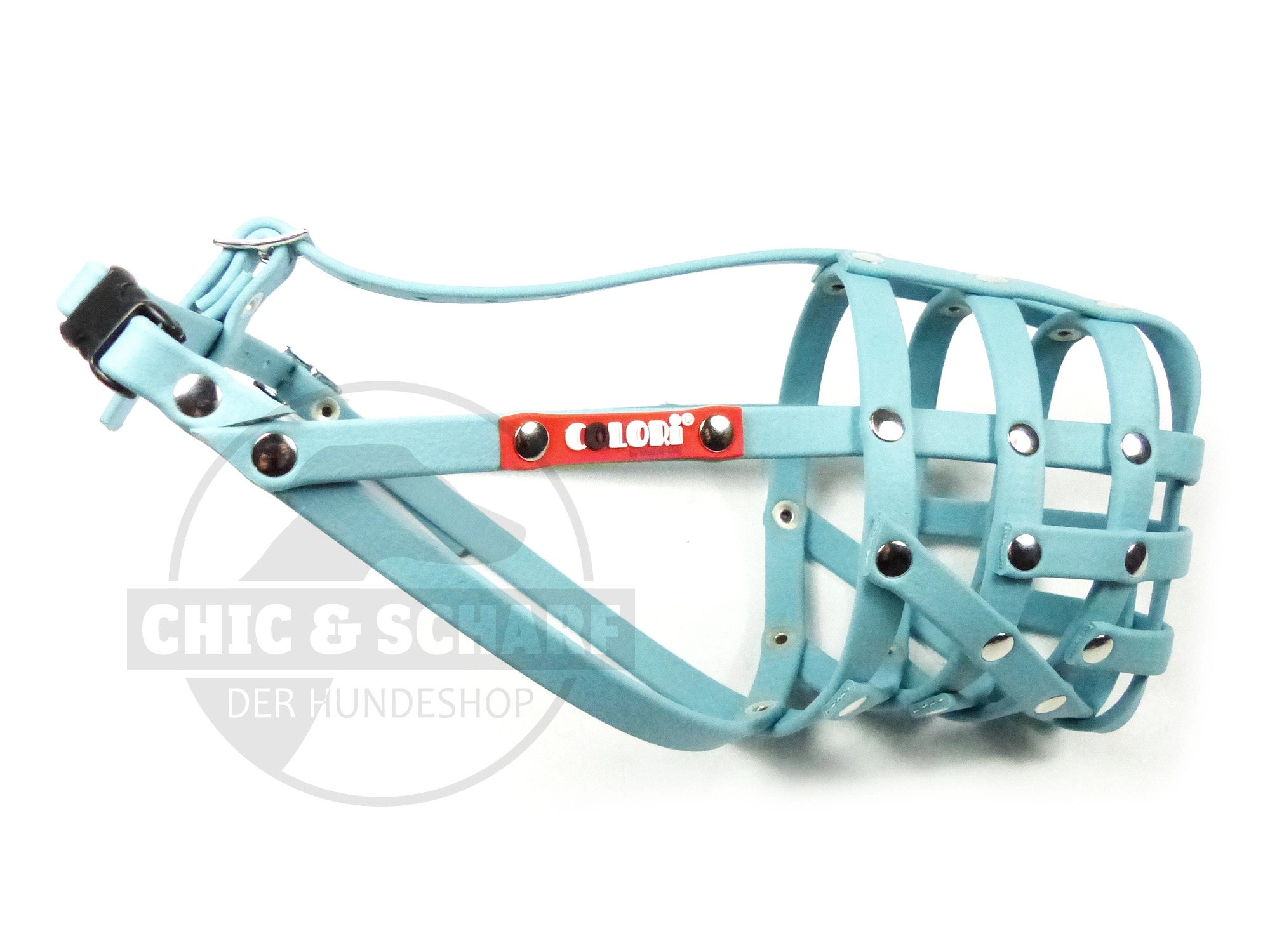 Colori 2.0 Dackel 2 Sea Turquoise