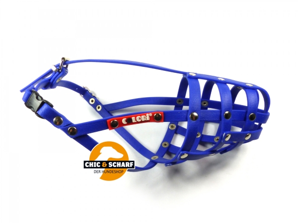 Colori Dackel 2 Blau