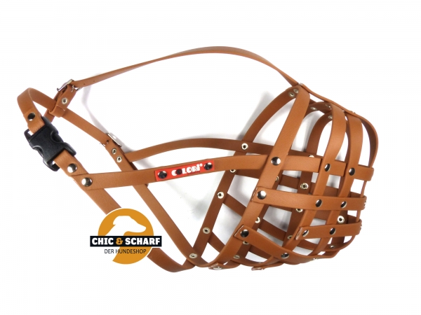 Colori Rottweiler 4 Hellbraun