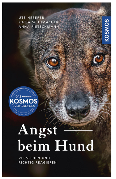 Angst beim Hund