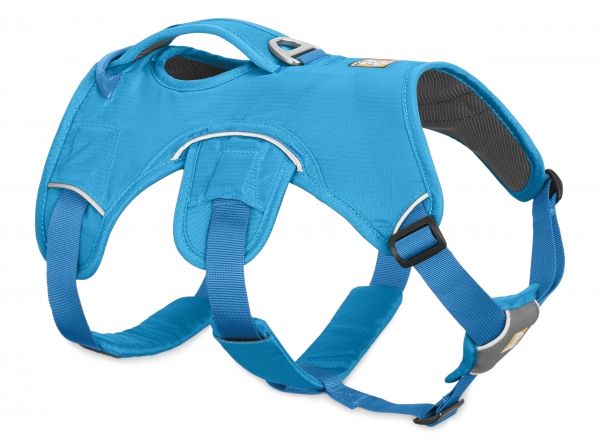 Web Master Harness Blue Dusk
