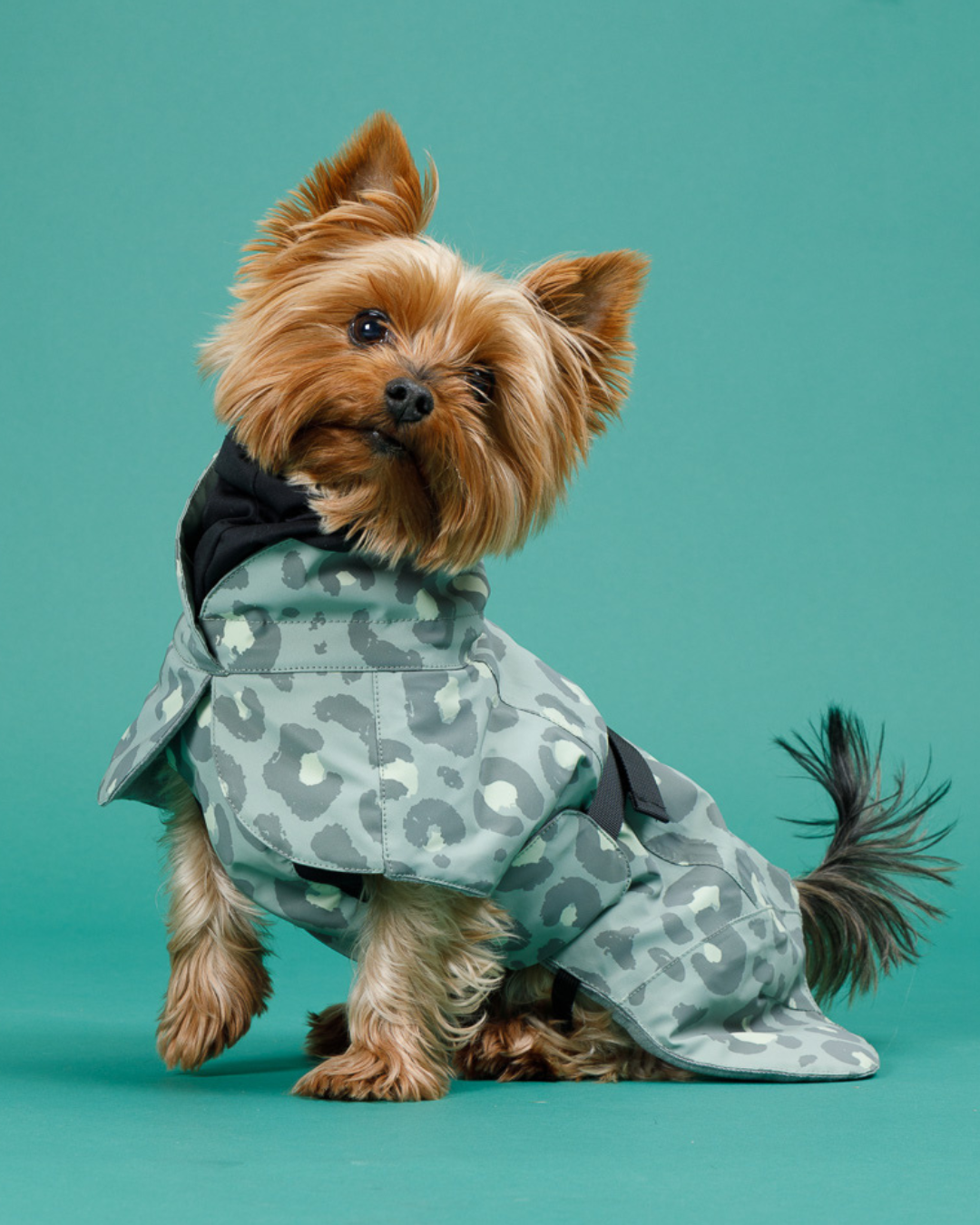 Visibility Winterjacke Green Leo - 20