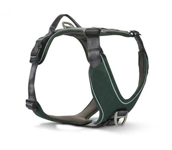 Geschirr Active Pro Comfort Grün/Anthrazit