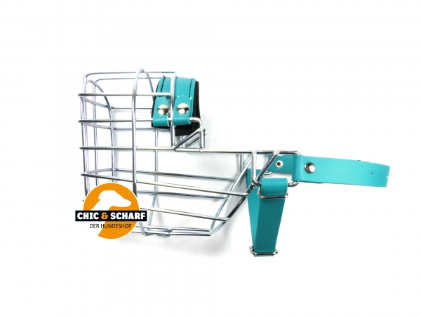 CHOPO Foxterrier Hündin grün