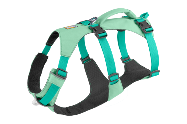 Flagline Harness Sage Geen - XXS