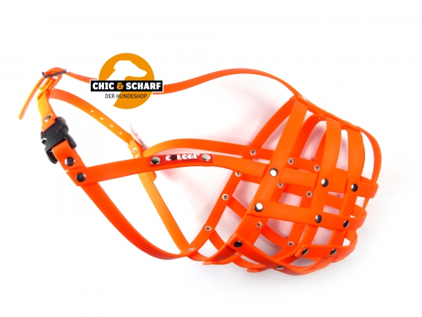 Colori Rottweiler 4 Orange