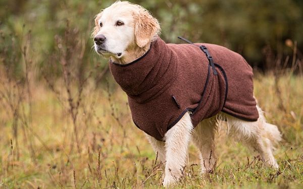 DryUp Cape Hundebademantel Brown