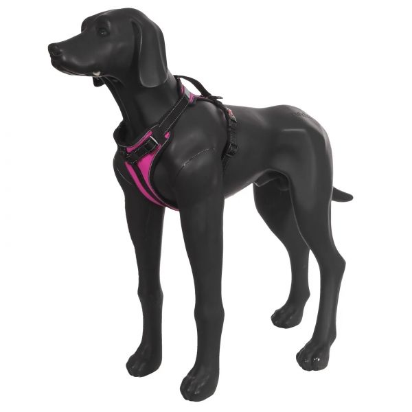 Solid Geschirr Pink