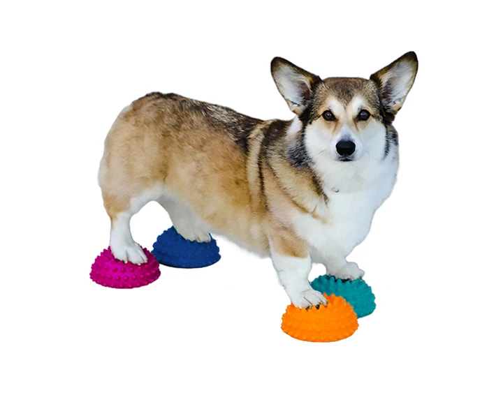 FitPAWS® Paw Pods Set