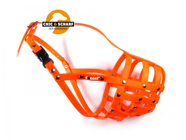 Colori Schnauzer 1 Orange