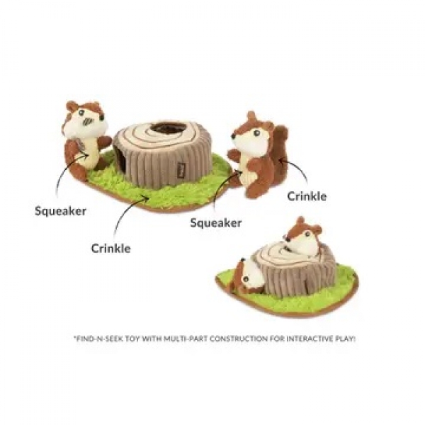 Woodland Chipmunks