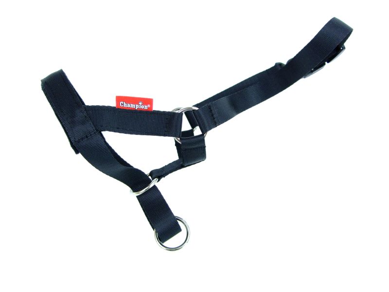 Champion Kopfhalfter Gr. 0