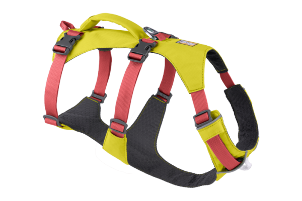 Flagline Harness Lichen Green - L/XL