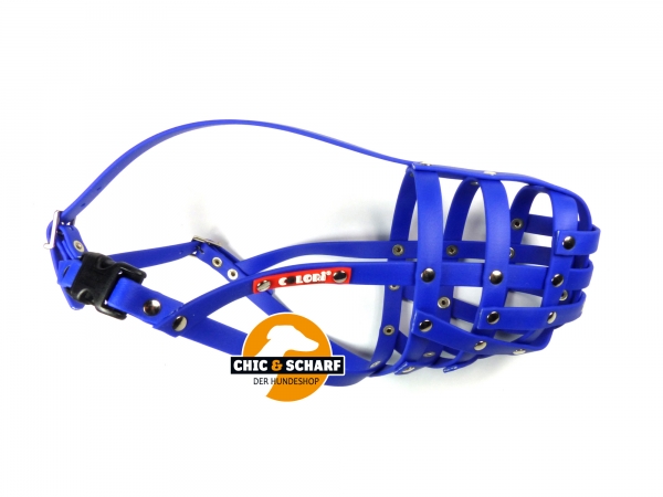 Colori Dobermann 2 Blau