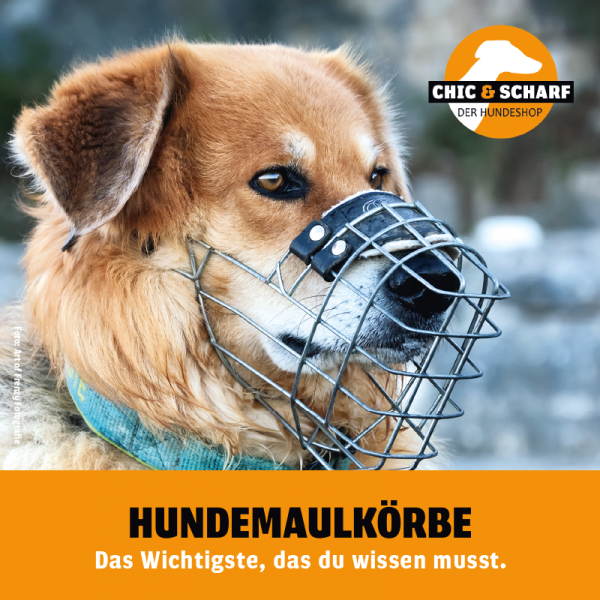 Infoflyer Hundemaulkörbe - 1 Stück
