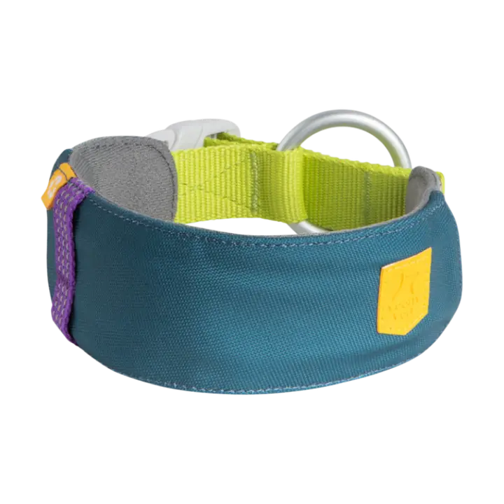 Alpha 360 Halsband Petrol