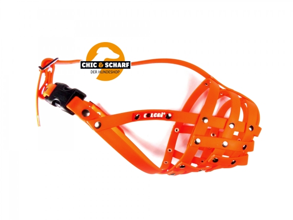 Colori Pitbull Terrier 2 Orange