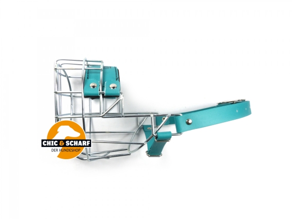 CHOPO Mittelschnauzer Hündin grün