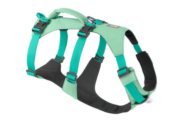 Flagline Harness Sage Geen - XXS