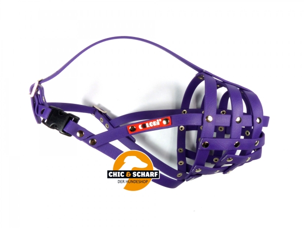 Colori Pitbull Terrier 2 Lila