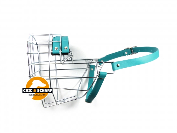 CHOPO Riesenschnauzer Hündin Biothane grün